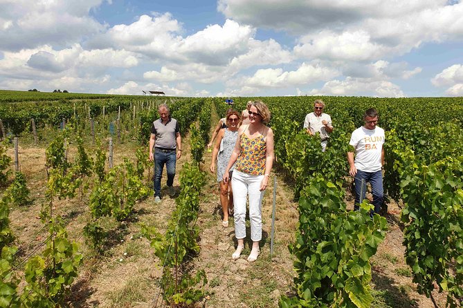 Gourmet walk in the heart of the vineyards with Champagne tasting near Epernay - Champagne in the vines: what this experience is really like