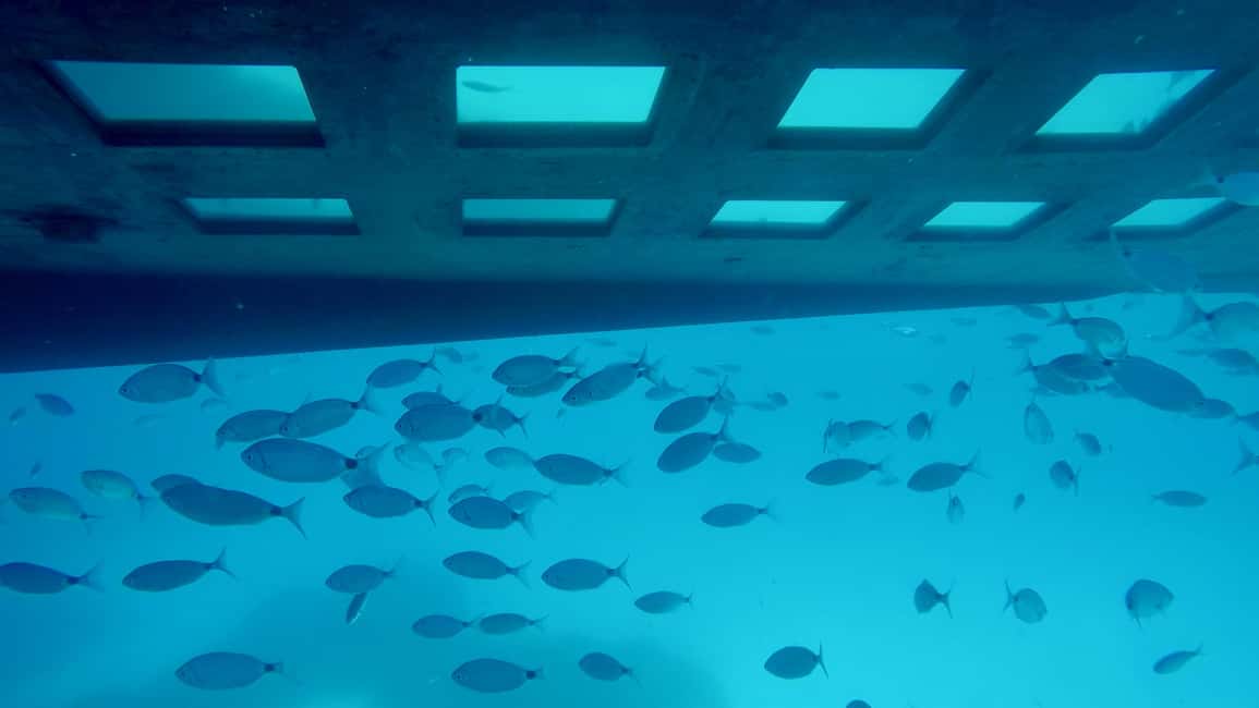 GRAND TOUR SITES CLASSÉS Vision sous-marine,baignade,boisson - Timing and logistics: how to avoid the most common frustration