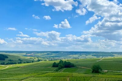 GRAND VINTAGE Ruinart Veuve Clicquot Private Champagne from Paris - Lunch and a short look at Reims