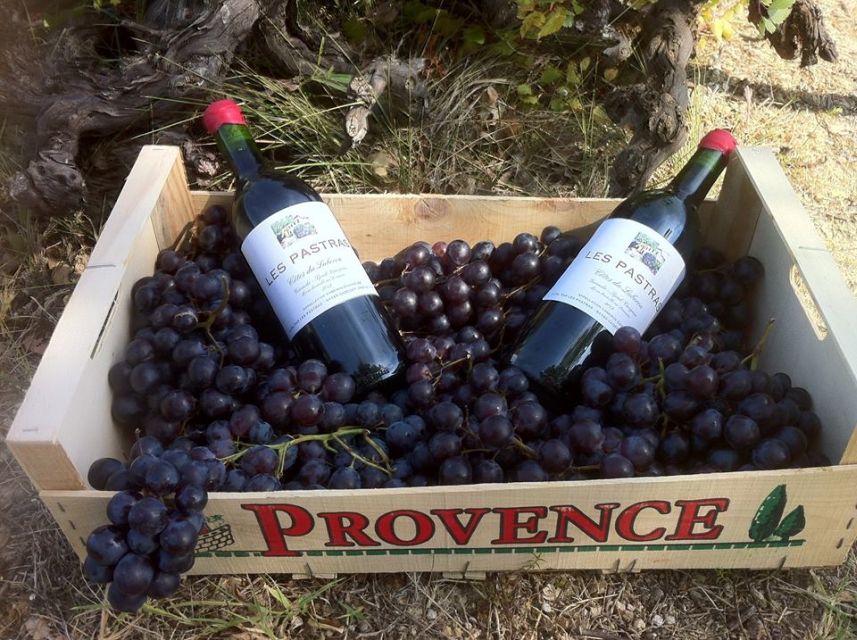 Grape Stomping in Provence - Should you book Grape Stomping in Provence?