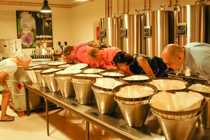 Grasse, Valbonne & Gourdon: Day Tour with Wine Tasting - Where This Day Tour Really Shines: Perfume, Villages, and Views