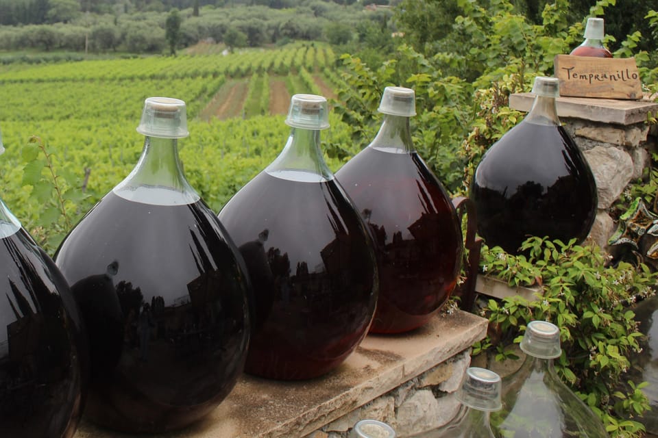 Grasse, Valbonne & Gourdon: Day Tour with Wine Tasting - Valbonne’s Medieval Streets: How to Spend Your Free Time Well