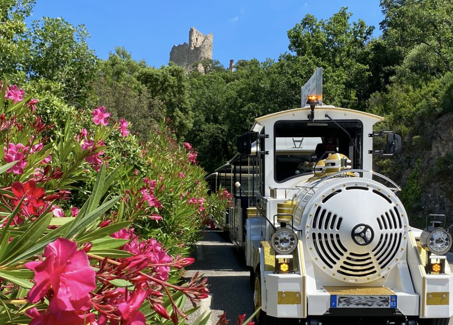 Grimaud: Guided Tour of Port Grimaud & Grimaud by Train - Port Grimaud’s lagoon side: why this ride feels efficient