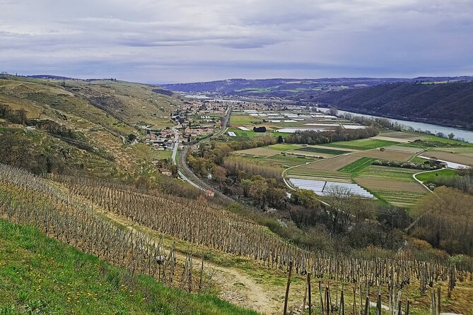 Guided Day Tour and Wine Tasting Northern Rhône Valley - Stop 2: Chavanay (or Ampuis) for a first tasting in a real estate setting