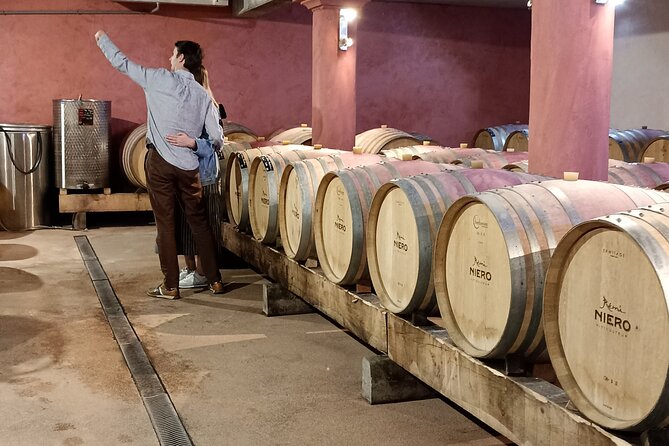 Guided Day Tour and Wine Tasting Northern Rhône Valley - Stop 4: Lunch in Tain-l’Hermitage with a reserved table and Rhône views