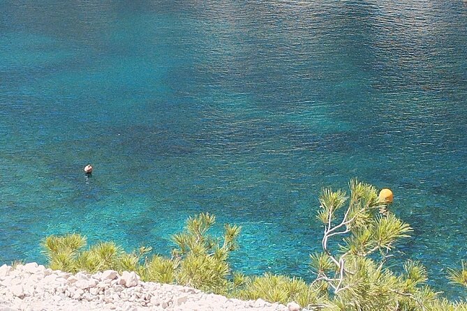 Guided hike in the Calanques National Park - Provence Picnic on the Beach: Local Products, Not a Generic Lunch