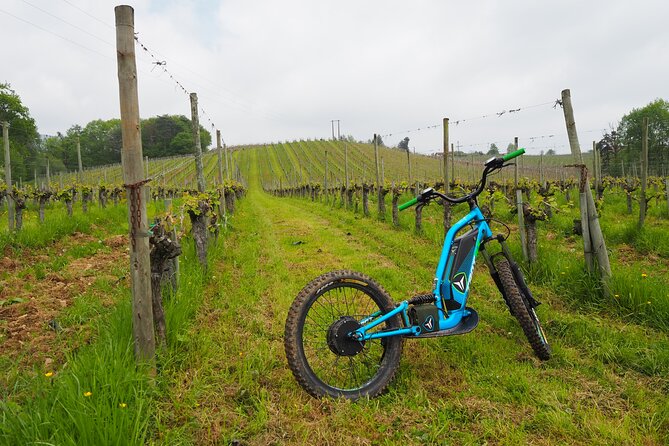 Guided hike to Iraty by electric scooter - Why an electric scooter works well in Iraty