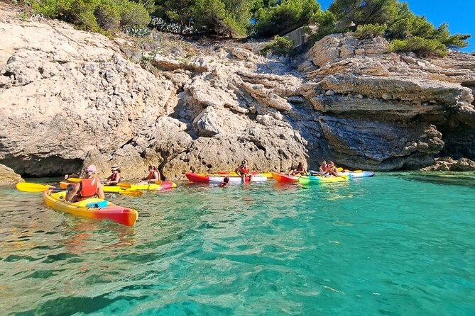 Guided kayak excursion in creeks - Paddling along the coast: stamina, distance, and why it’s not a sit-and-sightsee tour