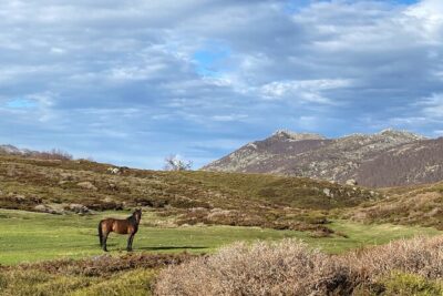 guided ride on the Plateau du Coscione by electric mountain bike - What you see across the plateau
