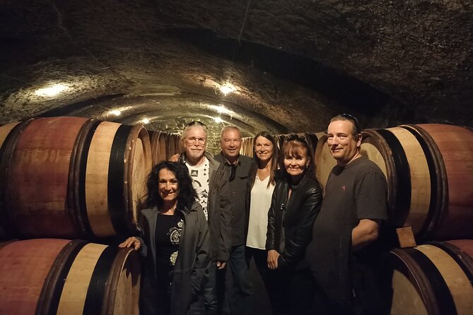 Guided tour and wine tasting Northern Rhône Valley - Who should book this Northern Rhône wine tasting from Lyon?