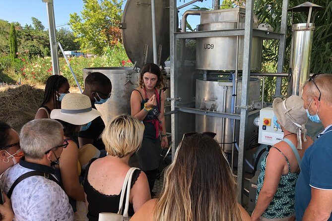 Guided tour Distillery of Lavender between Nîmes & Arles - Inside the Shop: Advice That Helps You Buy Smarter
