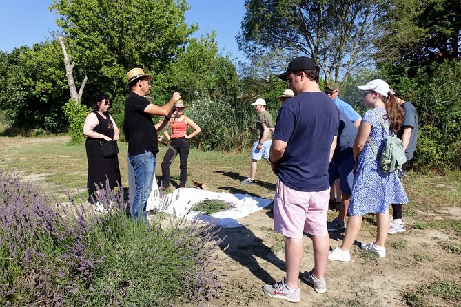 Guided tour Distillery of Lavender between Nîmes & Arles - Weather and Pacing: The Only Real Trade-Offs