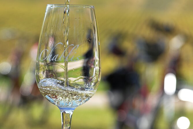 Guided tour of the Chablis Vineyards by e-bike - Key highlights you’ll feel on the ride