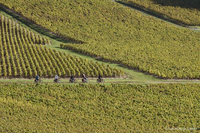 Guided tour of the Chablis Vineyards by e-bike - Gregory’s wine explanations: terroir logic you can actually use