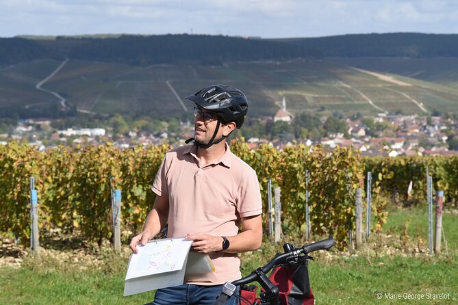 Guided tour of the Chablis Vineyards by e-bike - The tasting: 5 to 6 wines and how to make it enjoyable
