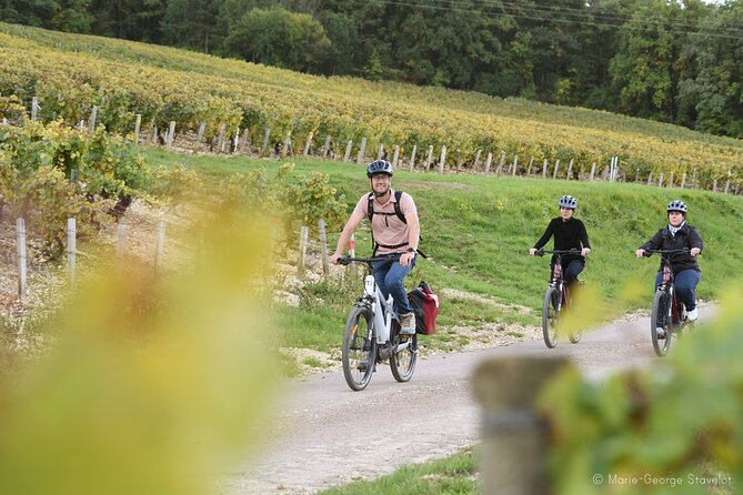 Guided tour of the Chablis Vineyards by e-bike - Price and value: what you’re really paying for