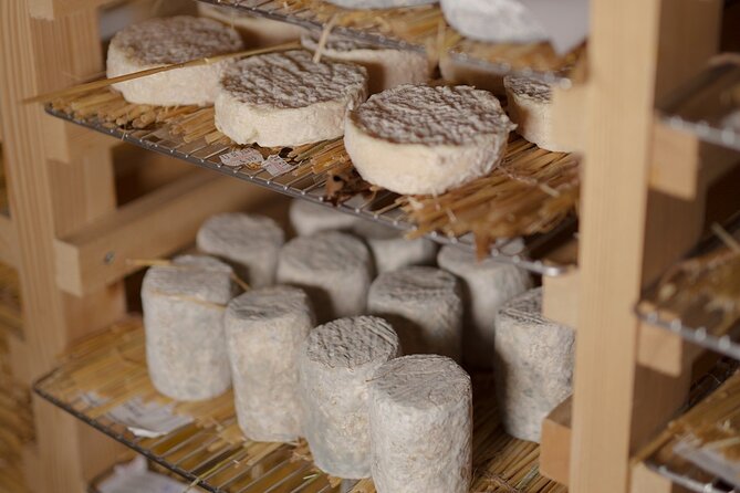Guided visit of the Cheese Museum with Tasting Included - Where the Cheese Museum sits on Île Saint-Louis