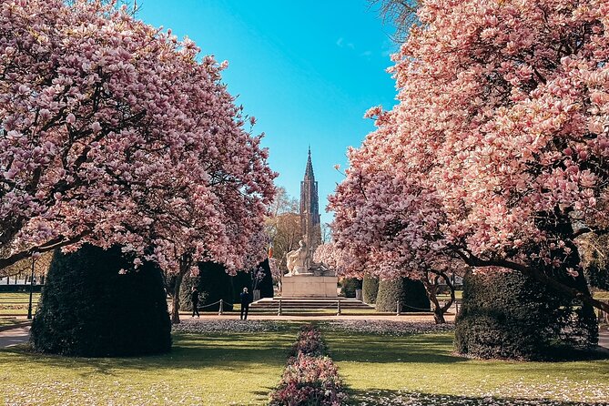 Guided Walking Tour in Strasbourg between History and Curiosities - The walking pace, group size, and why it stays enjoyable