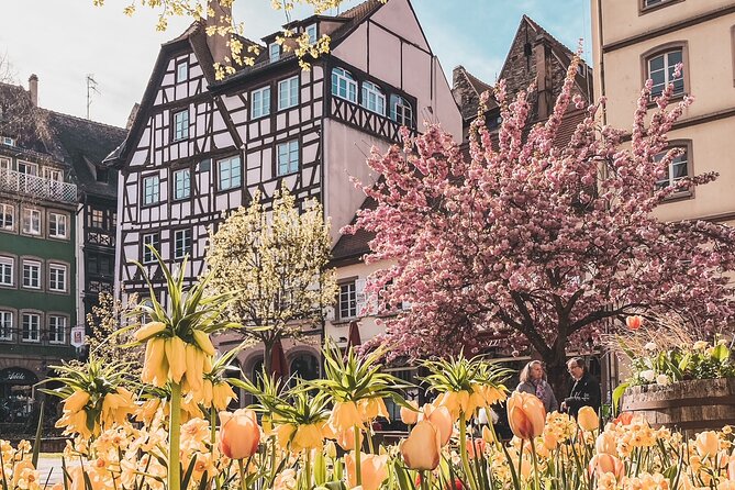 Guided Walking Tour in Strasbourg between History and Curiosities - What to do next after the tour ends near the Cathedral