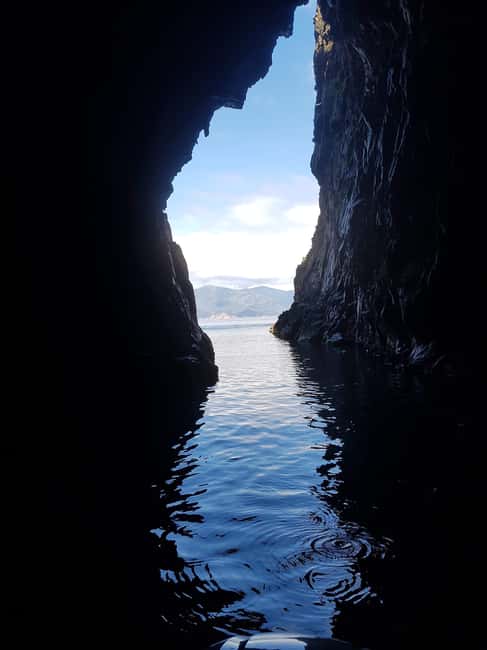 Gulf of Porto: Visit the Calanques de Piana and/or Scandola Reserve - Scandola Nature Reserve: UNESCO waters and the wildlife you actually want