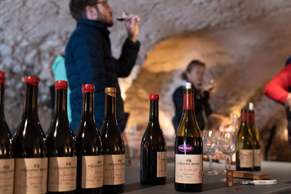Half day bike guided in Beaujolais - Mont Brouilly and wine - What the $114 price buys you