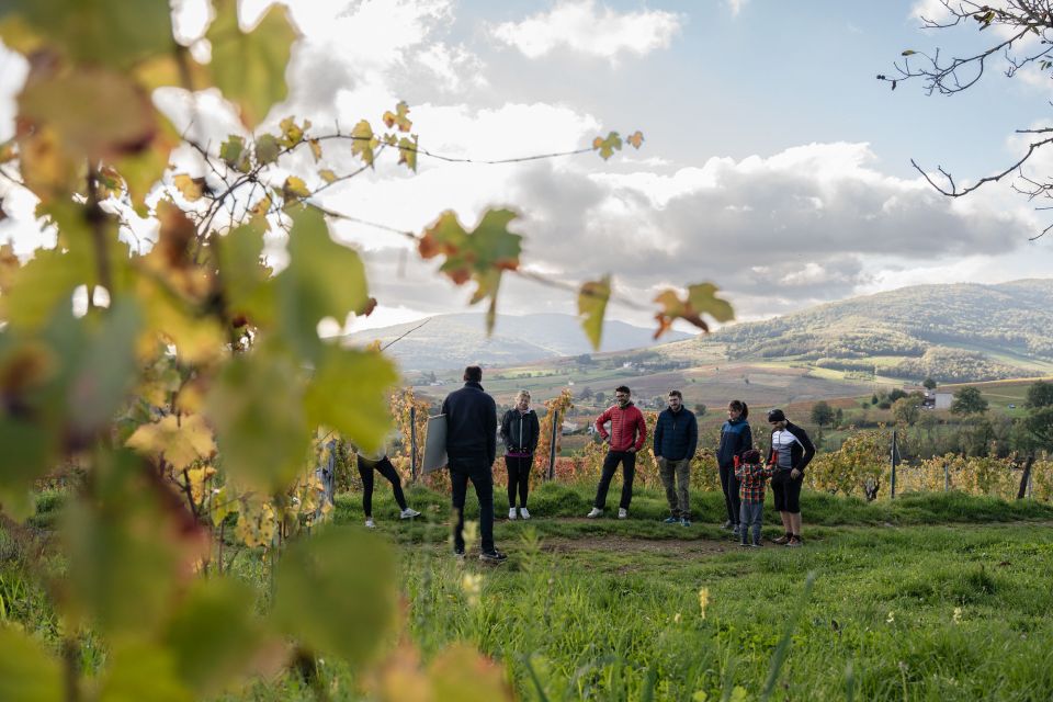 Half day bike guided in Beaujolais - Mont Brouilly and wine - Who will enjoy this three-hour outing
