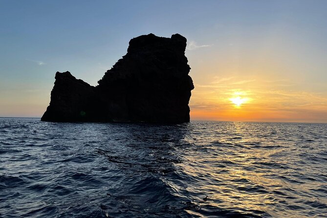 Half Day Boat Trip to Scandola Calanche de Piana - Who This Boat Trip Suits Best (and Who Should Rethink)