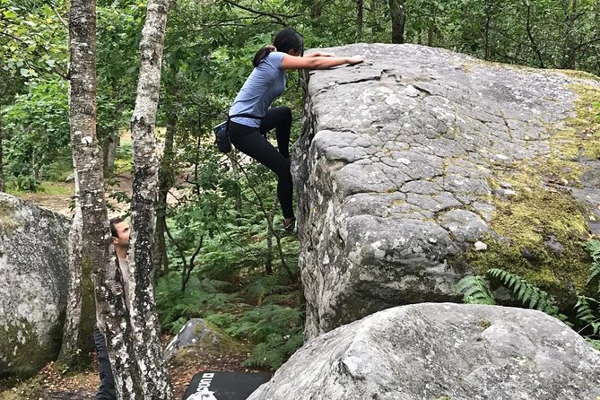 Half-Day Bouldering in Fontainebleau - Key points to know before you book
