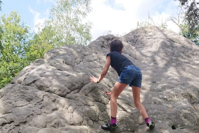 Half-Day Bouldering in Fontainebleau - Why Fontainebleau is such a good place to try bouldering