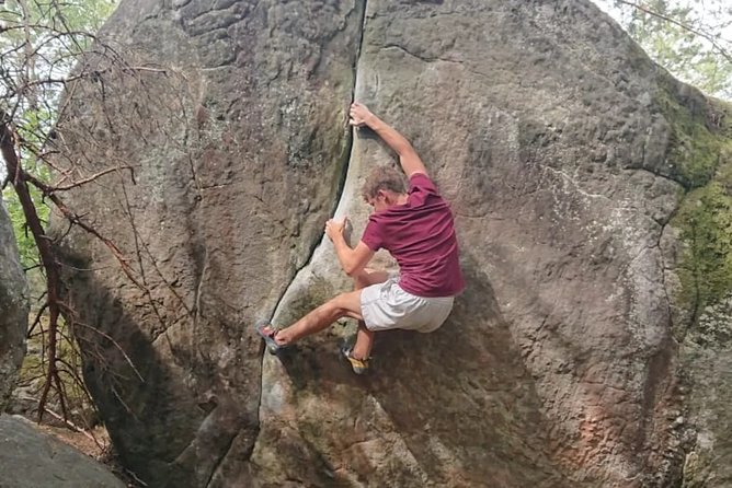 Half-Day Bouldering in Fontainebleau - Your first problems on the sandstone