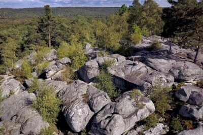 Half-Day Bouldering in Fontainebleau - Meeting at 10 a.m. in Bois-le-Roi