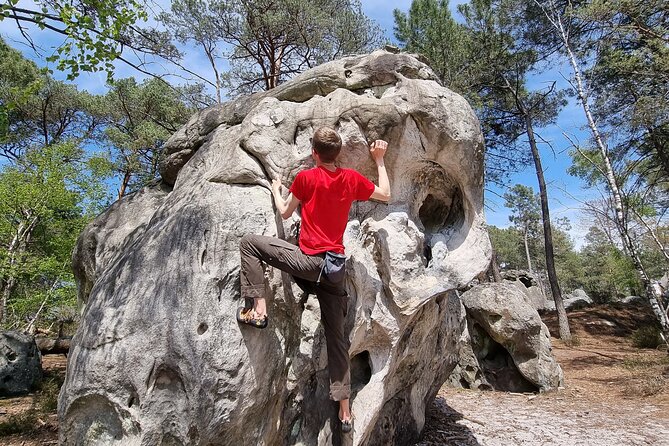 Half-Day Bouldering in Fontainebleau - Going farther into the forest