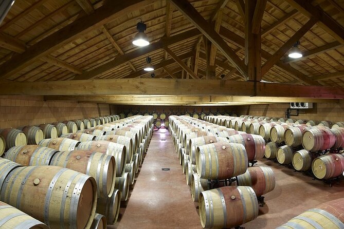 Half-Day Cotes du Rhone Private Wine Tour from Lyon - Why Northern Rhône wine makes this trip special