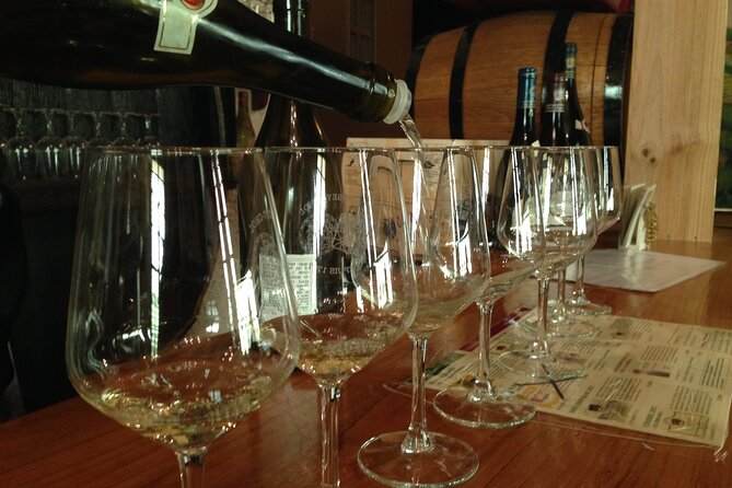 Half-Day Cotes du Rhone Private Wine Tour from Lyon - Condrieu and the near-disappearance of Viognier
