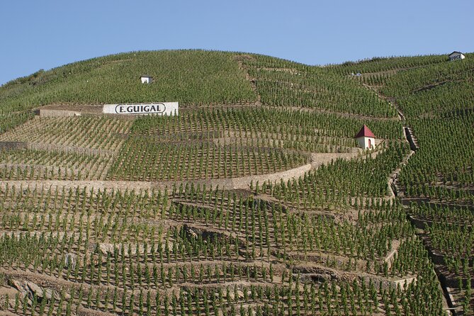 Half-Day Cotes du Rhone Private Wine Tour from Lyon - The first family winery in Tupin-et-Semons