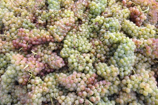 Half-Day Cotes du Rhone Private Wine Tour from Lyon - Chavanay adds cellar work and barrel aging