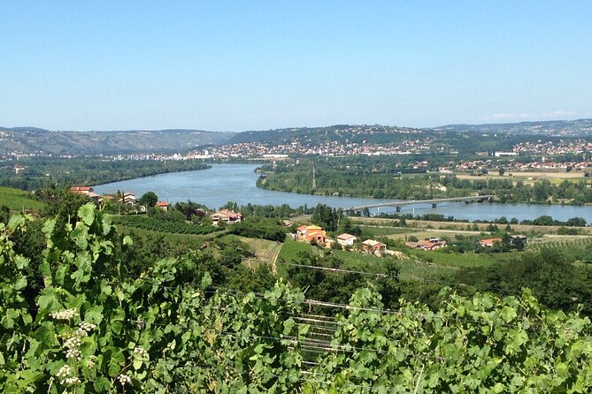 Half-Day Cotes du Rhone Private Wine Tour from Lyon - What the private vehicle and guide add