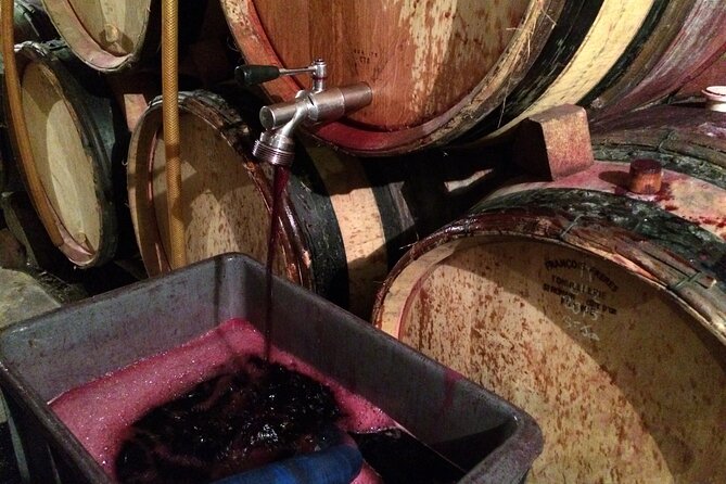 Half-Day Cotes du Rhone Private Wine Tour from Lyon - Is four and a half hours enough?