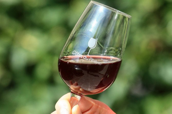 Half Day Great Vineyard Tour from Avignon - Tasting Expectations: How to Get the Most From the Glasses