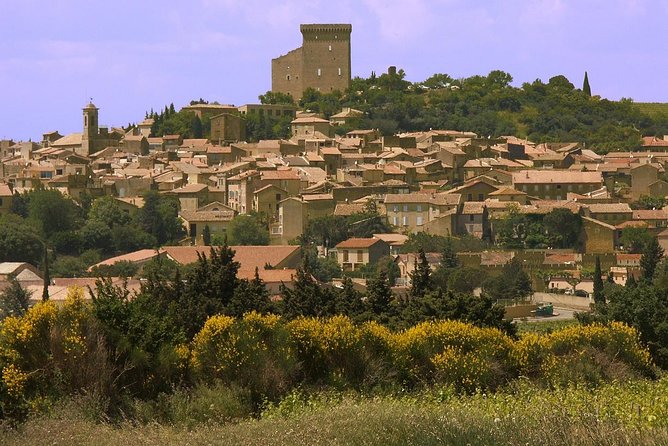 Half Day Great Vineyard Tour from Avignon - What to Bring (So You Enjoy It More Than You Have to Manage)