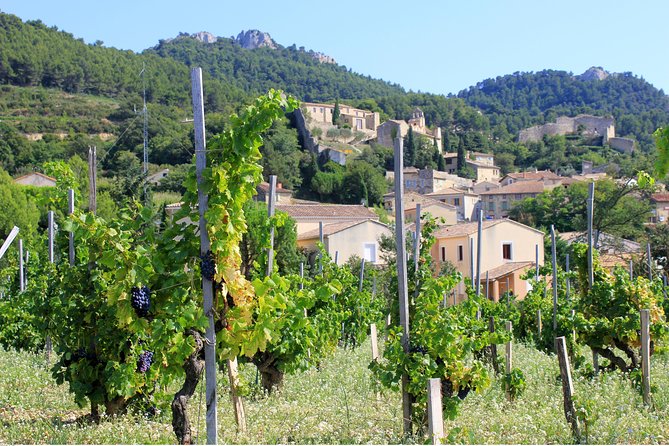 Half Day Great Vineyard Tour from Avignon - How the Day Flows: Pickup, Drive, and Two Tastings