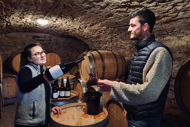 Half-day guided tour on the Burgundy wine Route in a classic car - Best for: who this tour makes the most sense for