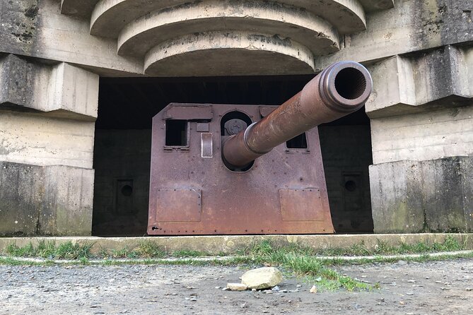 Half-day tour of Omaha Sector with a professional guide - What the private format adds