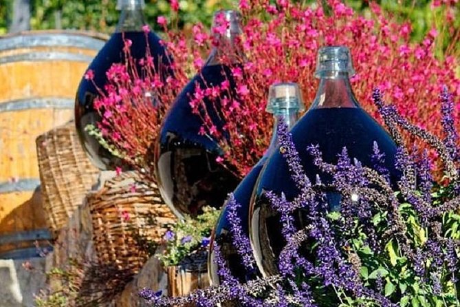 Half-Day Wine Tasting and Saint Paul de Vence Tour from Nice - Vignoble Rasse: Provence rosé and wine ageing in the sun
