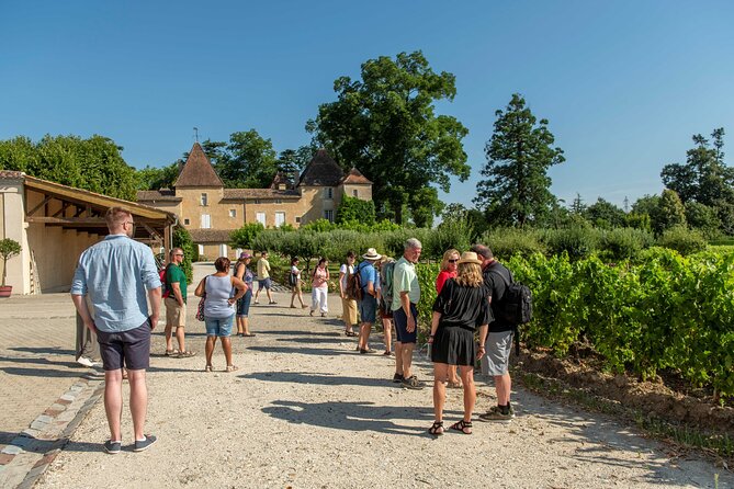 Half-Day Wine tour across Bordeaux’s Vineyards - Key highlights you’ll care about