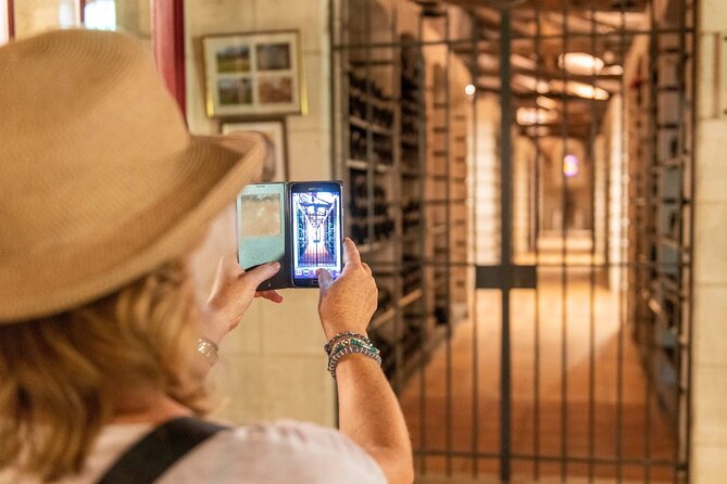 Half-Day Wine tour across Bordeaux’s Vineyards - Half-day timing that fits your Bordeaux schedule