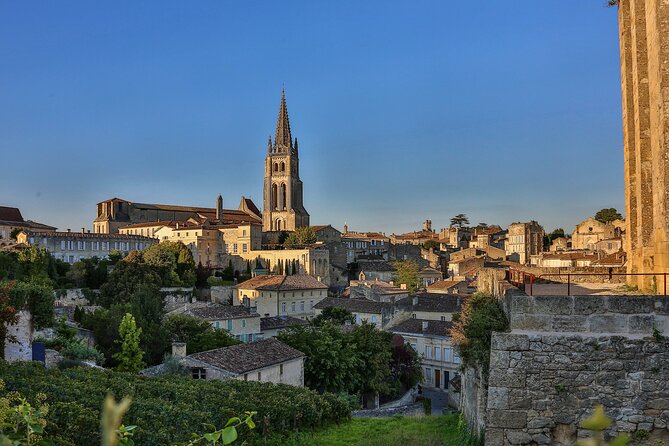 Half-Day Wine tour across Bordeaux’s Vineyards - Saint-Émilion château visit: tasting basics in a real working setting