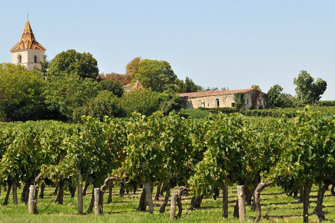 Half-Day Wine tour across Bordeaux’s Vineyards - How the day expands beyond Saint-Émilion