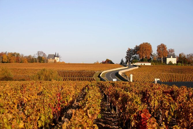 Half-Day Wine tour across Bordeaux’s Vineyards - What weather does to the experience (and what to do about it)