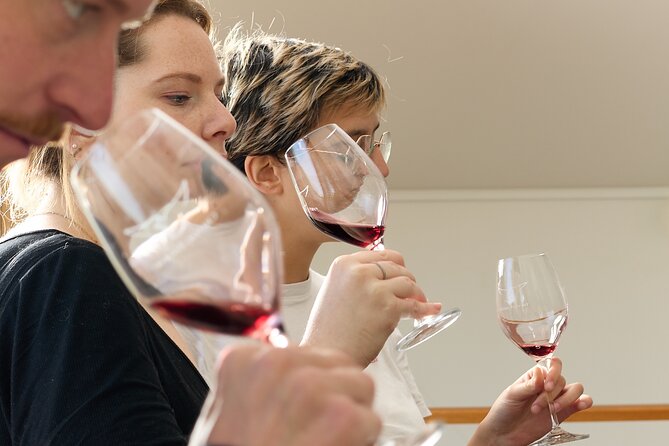 Half-Day Wine Tour in Margaux - The Van Ride to Margaux: Where the Wine Lesson Begins